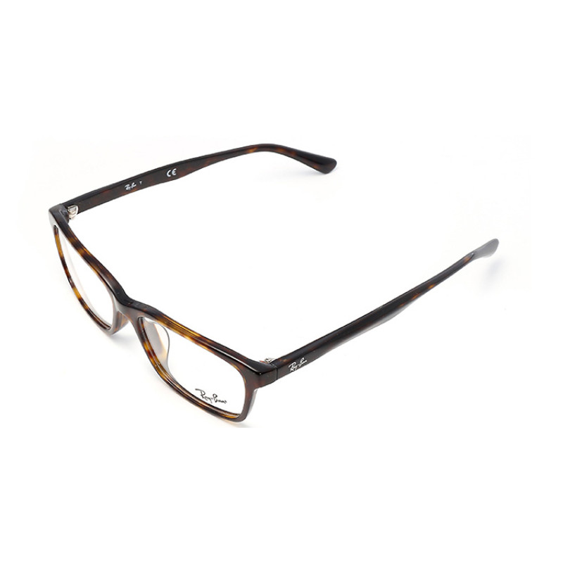 RayBan