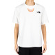 THE NORTH FACE T