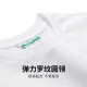 FAIRWHALE T