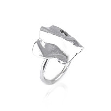 ROGA ins 925