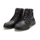 Palladium Pampa Plus LTH U