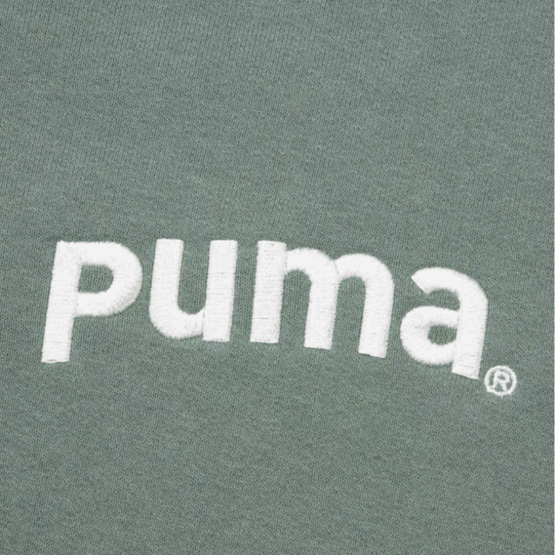 PUMA TEAM FZ HOODIE TR