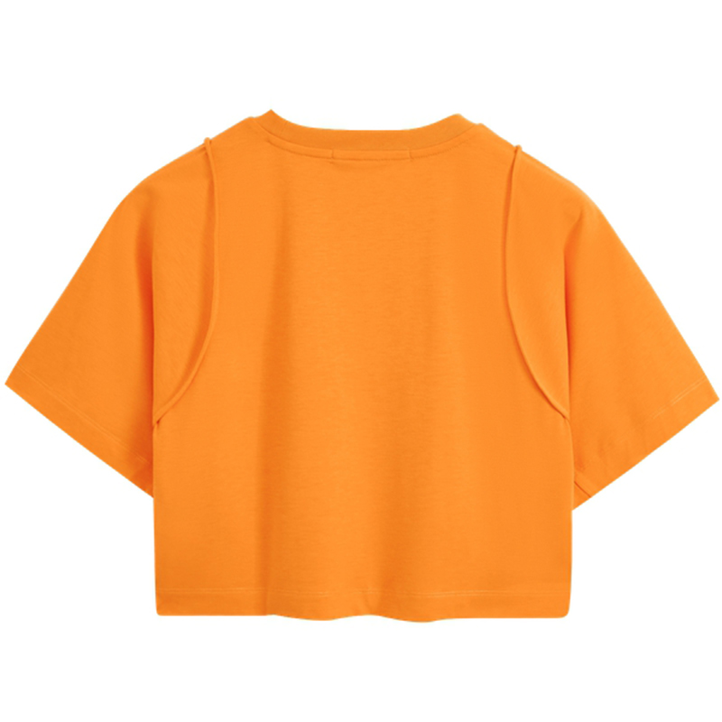 CKCalvin Klein T