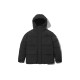 THE NORTH FACE Logo
