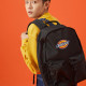 Dickies 100