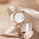 CITIZEN EW2447-89A