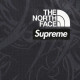 Supreme x The North Face FW22 Week 7 Base Layer LS Top LogoT