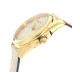 COACHGREYSON 36mm C 14504141