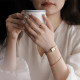 Daniel Wellington DW00100651+DW00400387