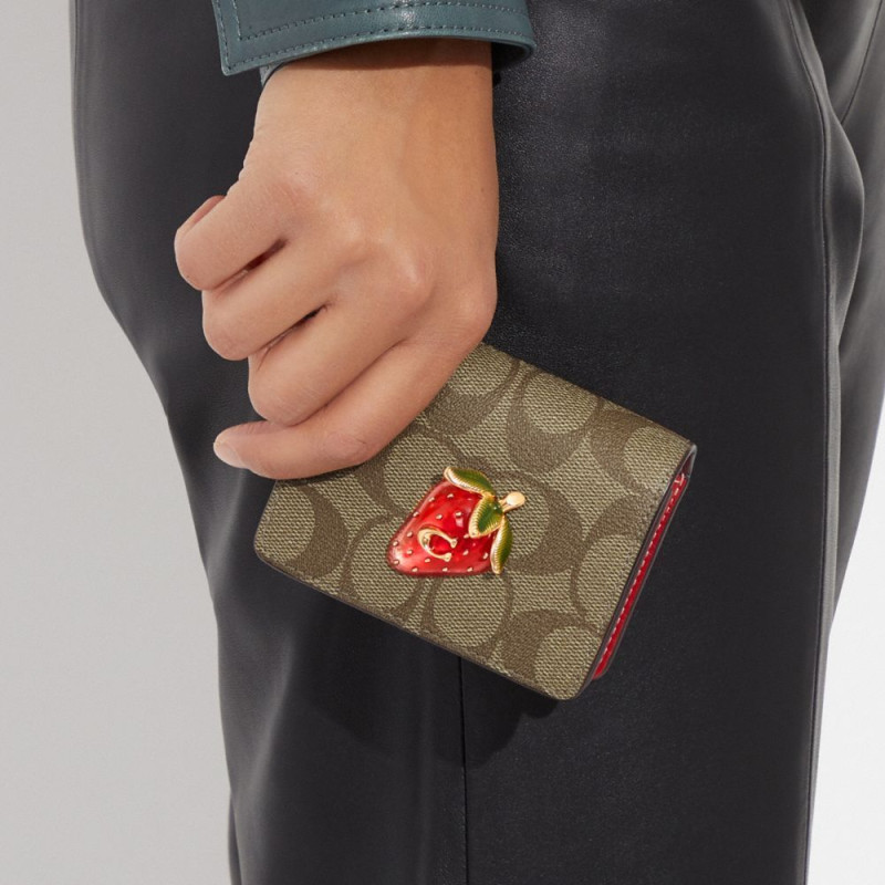 COACH Chain 10