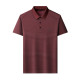 PIERRE CARDIN Polo