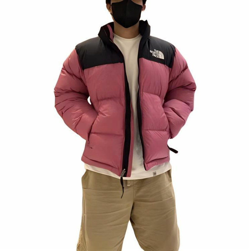 THE NORTH FACE 1996 Logo