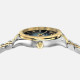 VERSACE 36