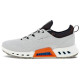 x ecco Biom C4