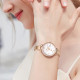 ROSSINI CHIC 7898G01C