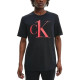 CKCalvin Klein T