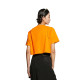 CKCalvin Klein T