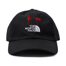 THE NORTH FACE Logo FanFare