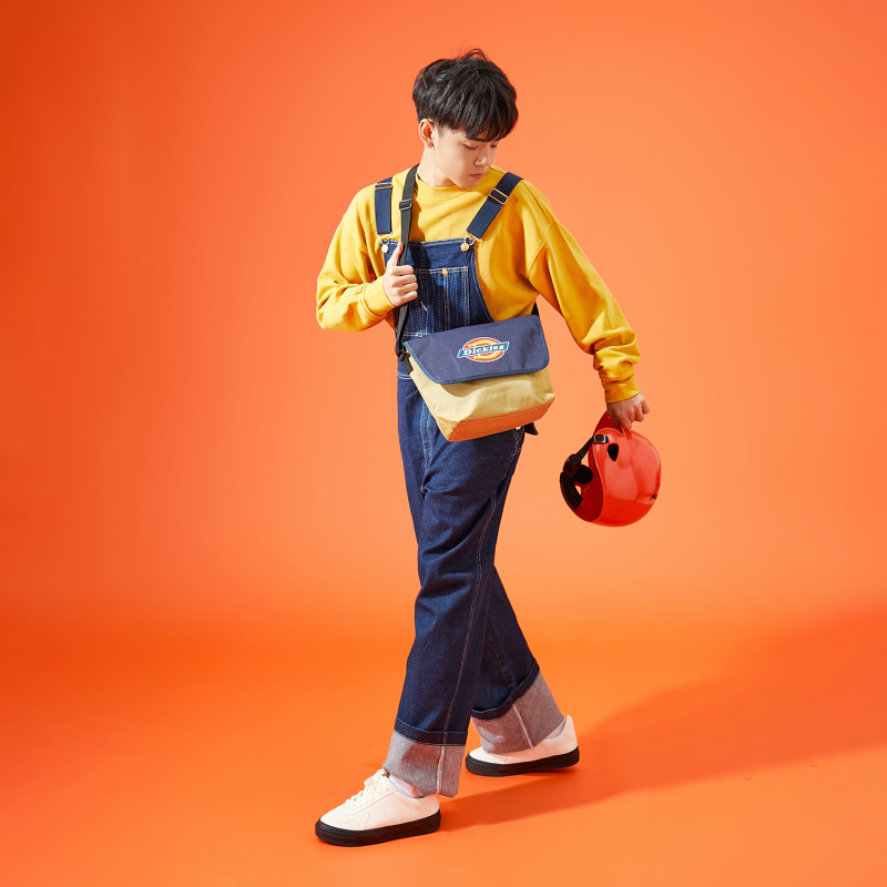 Dickies 100