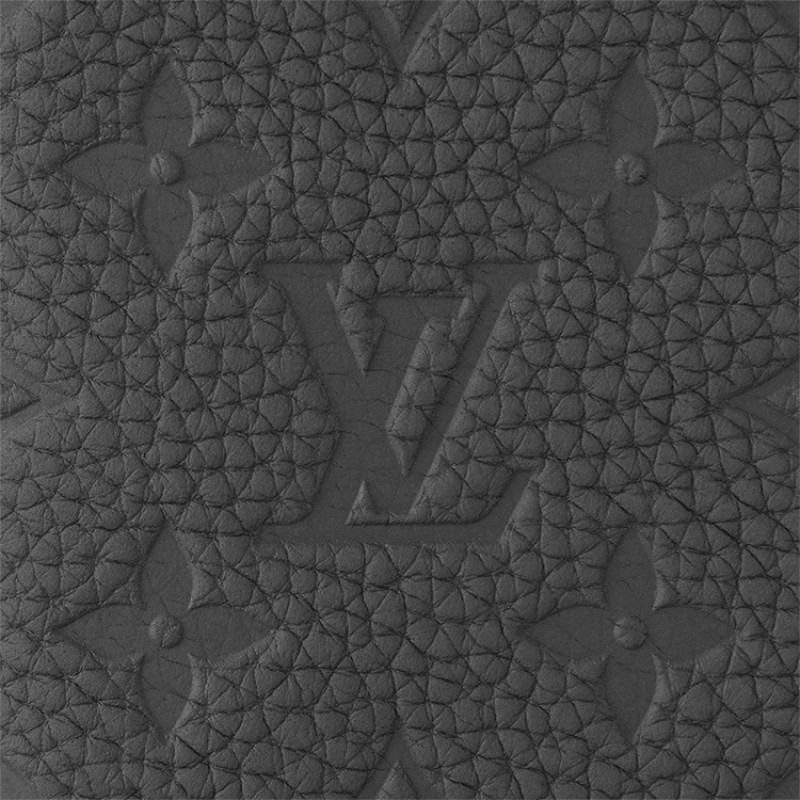 LOUIS VUITTON Brazza Taurillon