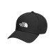 THE NORTH FACE Logo 4VSV