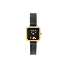 COACHCass 22mm 14504225
