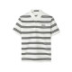 HLA Polo