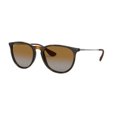 RayBan
