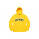 Supreme FW20 Week 1 Icy Arc Hooded Sweatshirt Logo