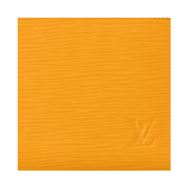 LOUIS VUITTON Zippy Epi