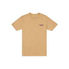 Vans T