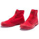 Palladium Mono Chrome