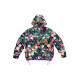 Supreme x x THE NORTH FACE Logo