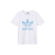 adidas originals Trefoil Tee LogoT
