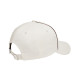 Champion Gradient circle Baseball Cap