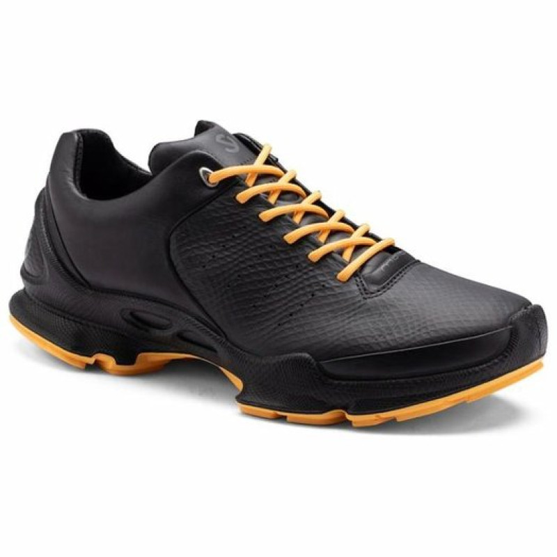 ecco BIOM C