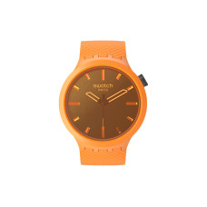 SWATCHSwatch Essentials 30 47mm