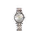 RADO 33mm R14089103