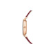 SwarovskiSwarovski 36mm 50 5613323