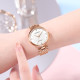 ROSSINI 518870