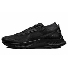 Nike Pegasus Trail 3 gore-tex 