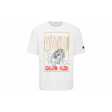 CKCalvin Klein LogoT