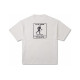 Converse T