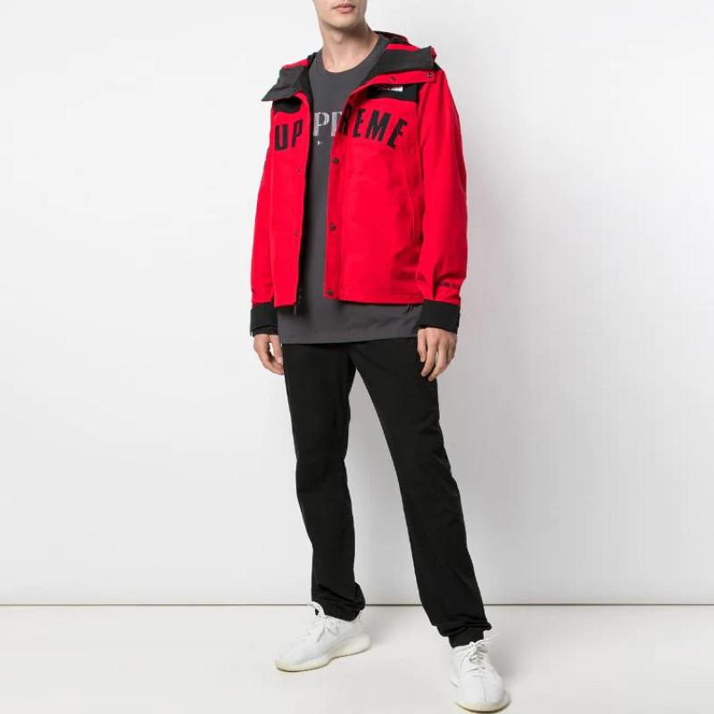 Supreme x THE NORTH FACE SS19 TNF