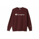 Champion FW22 Logo