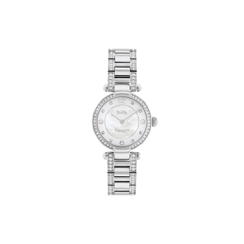 COACHCary Clogo 14503837