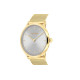 CKCalvin Klein 30 25300003