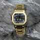 CASIO DW-5600CA-8