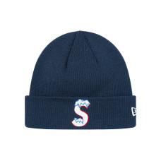 Supreme FW20 Week 3 New Era S Logo Beanie
