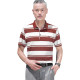 PIERRE CARDIN Polo